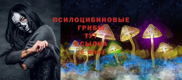 герыч Корсаков